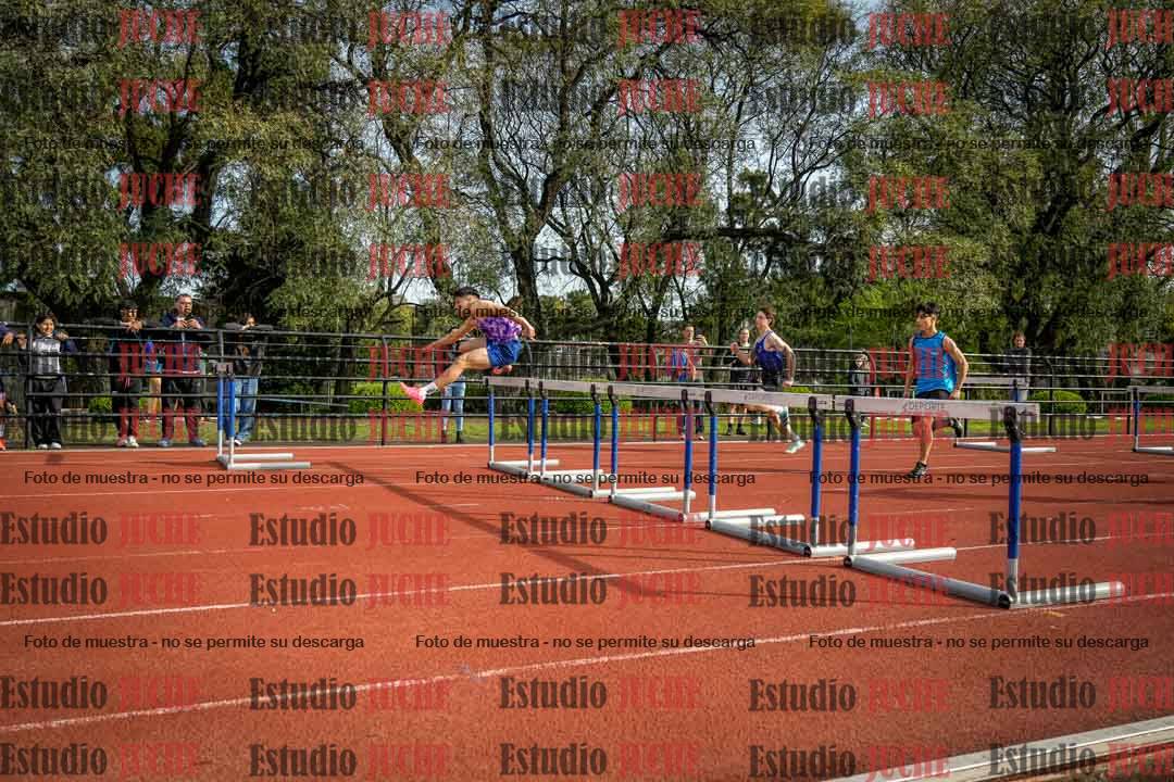 Fotos de los 110 m con vallas de varones