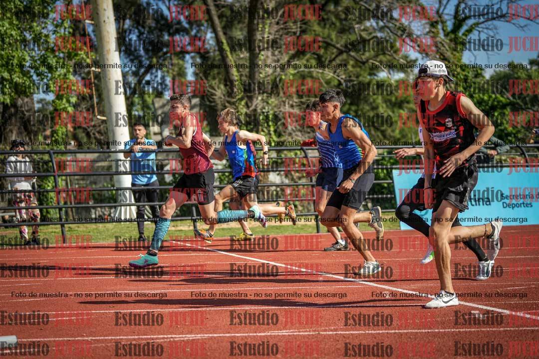 Fotos de los 110 m con vallas de varones