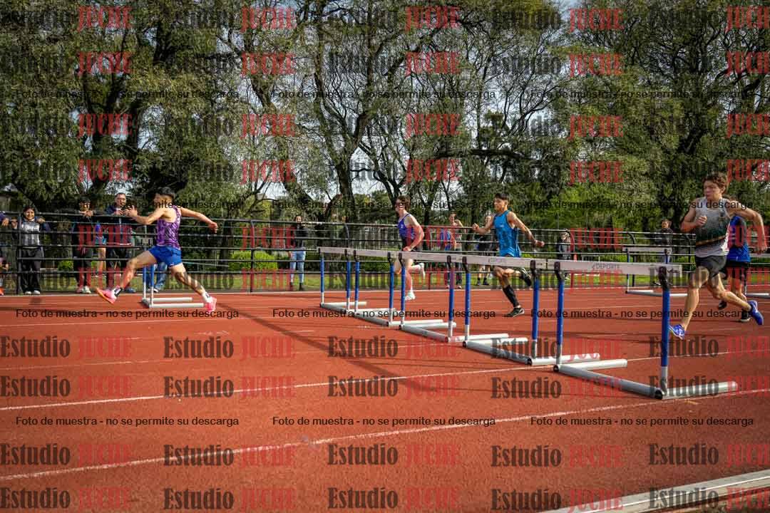 Fotos de los 110 m con vallas de varones