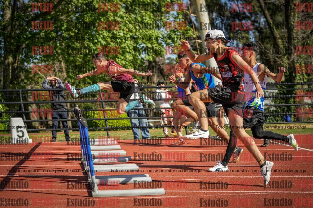 Fotos de los 110 m con vallas de varones