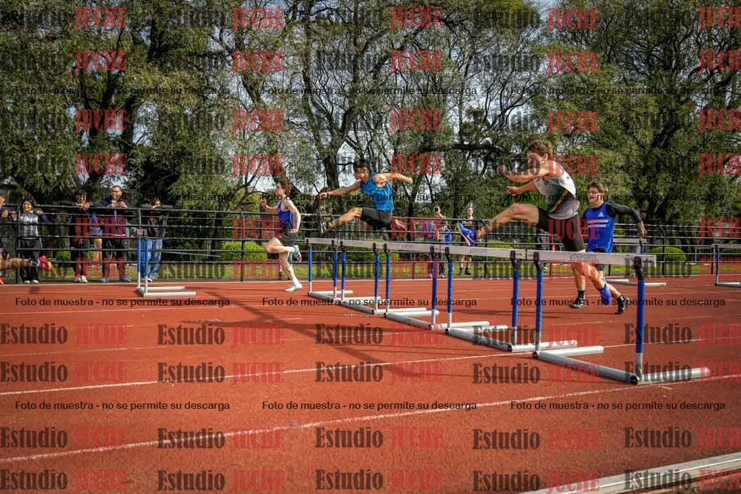 Fotos de los 110 m con vallas de varones