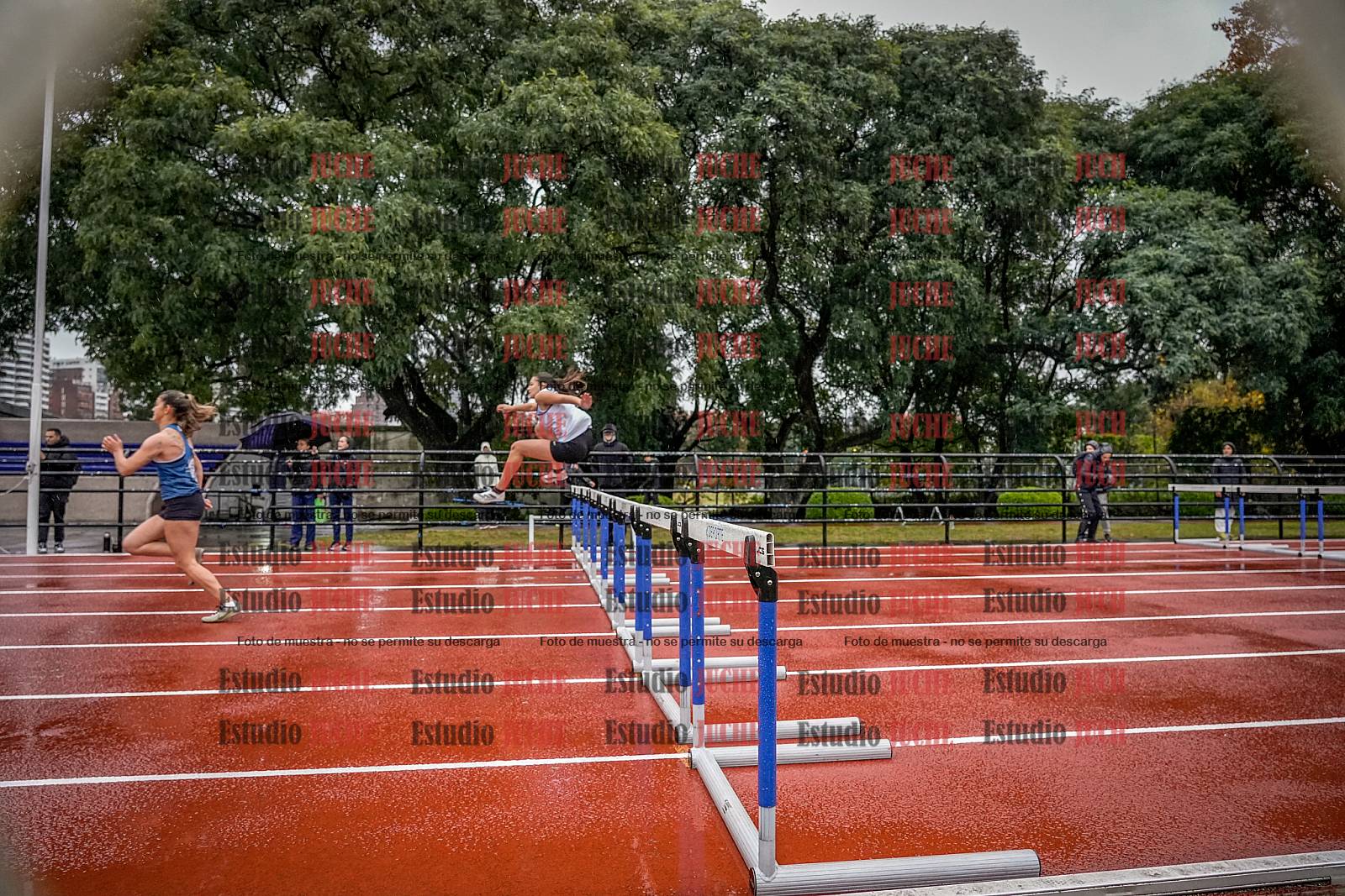 Fotos de los 100 m con vallas de mujeres - heptatlón 1