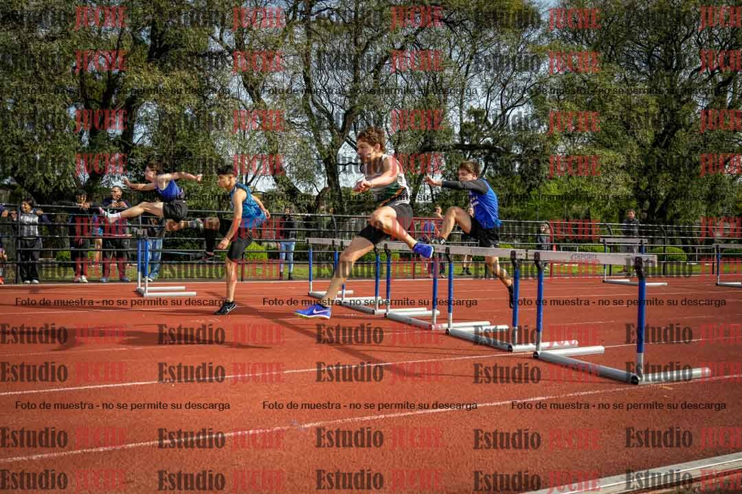 Fotos de los 110 m con vallas de varones