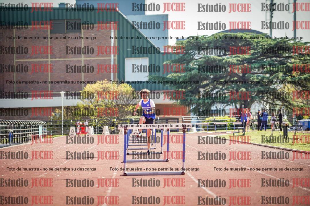 Fotos de los 110 m con vallas de varones