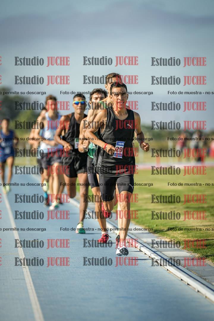 Fotos de los 5000 m llanos