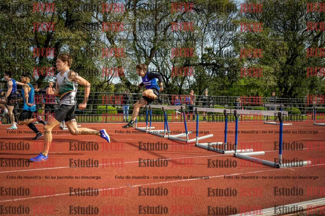 Fotos de los 110 m con vallas de varones