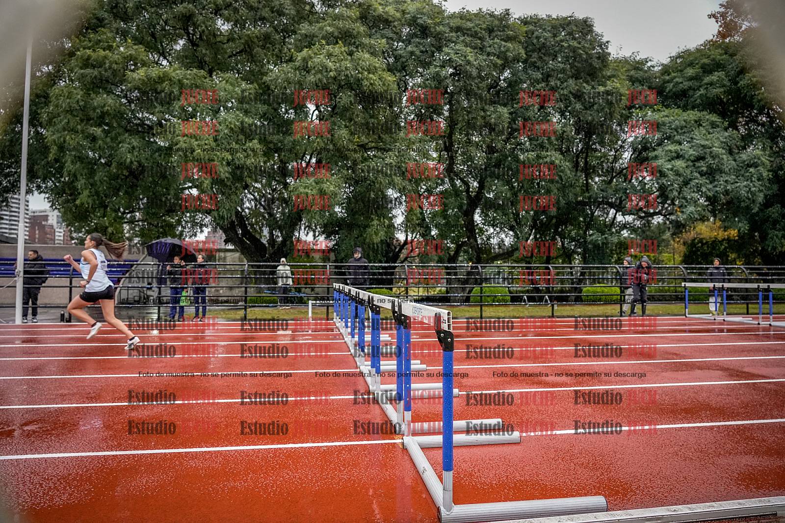 Fotos de los 100 m con vallas de mujeres - heptatlón 1