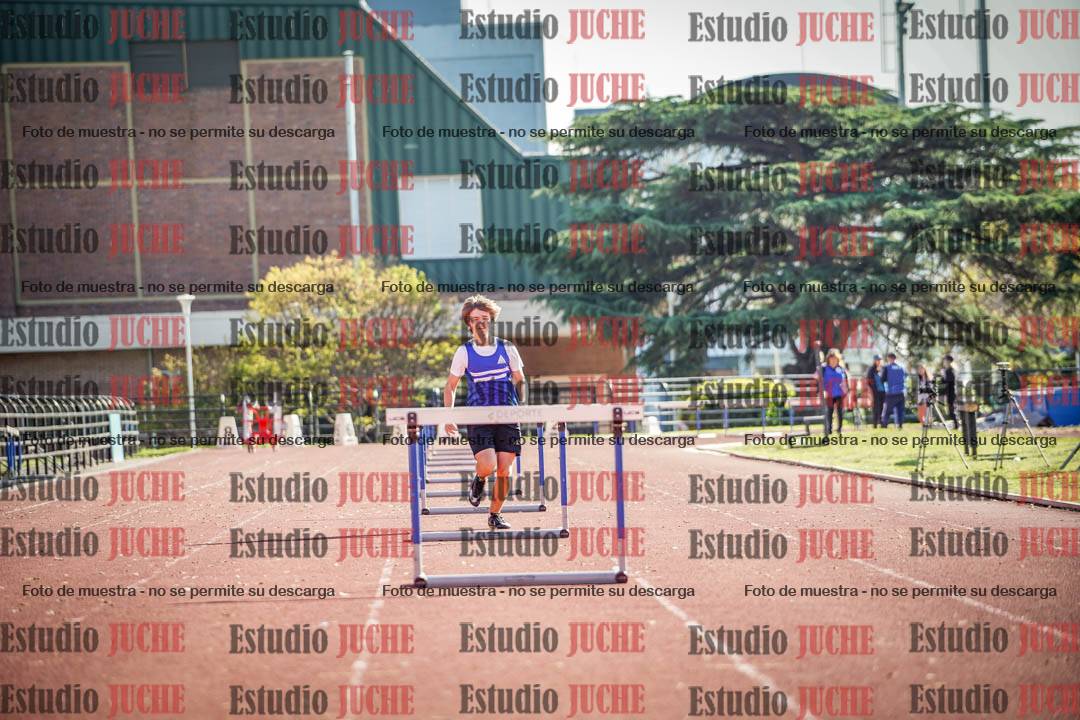 Fotos de los 110 m con vallas de varones