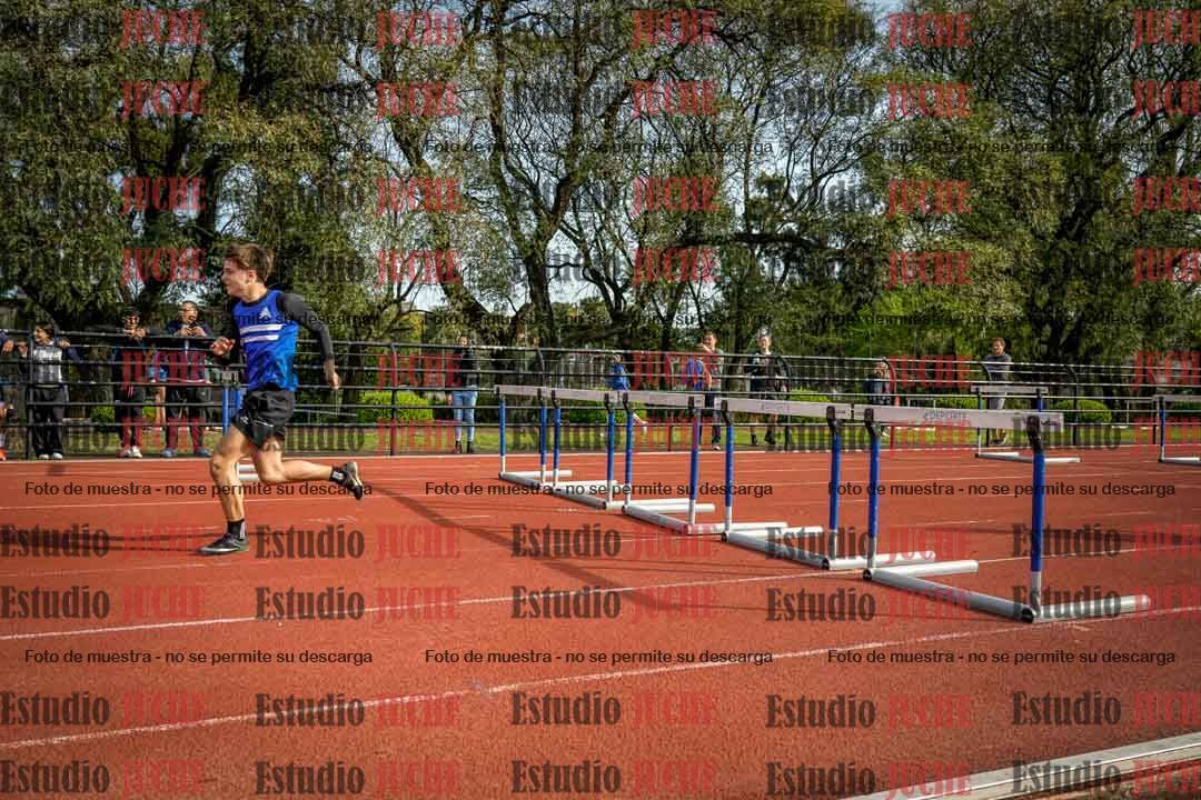 Fotos de los 110 m con vallas de varones