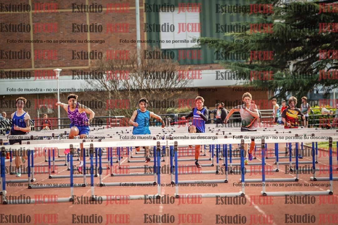 Fotos de los 110 m con vallas de varones