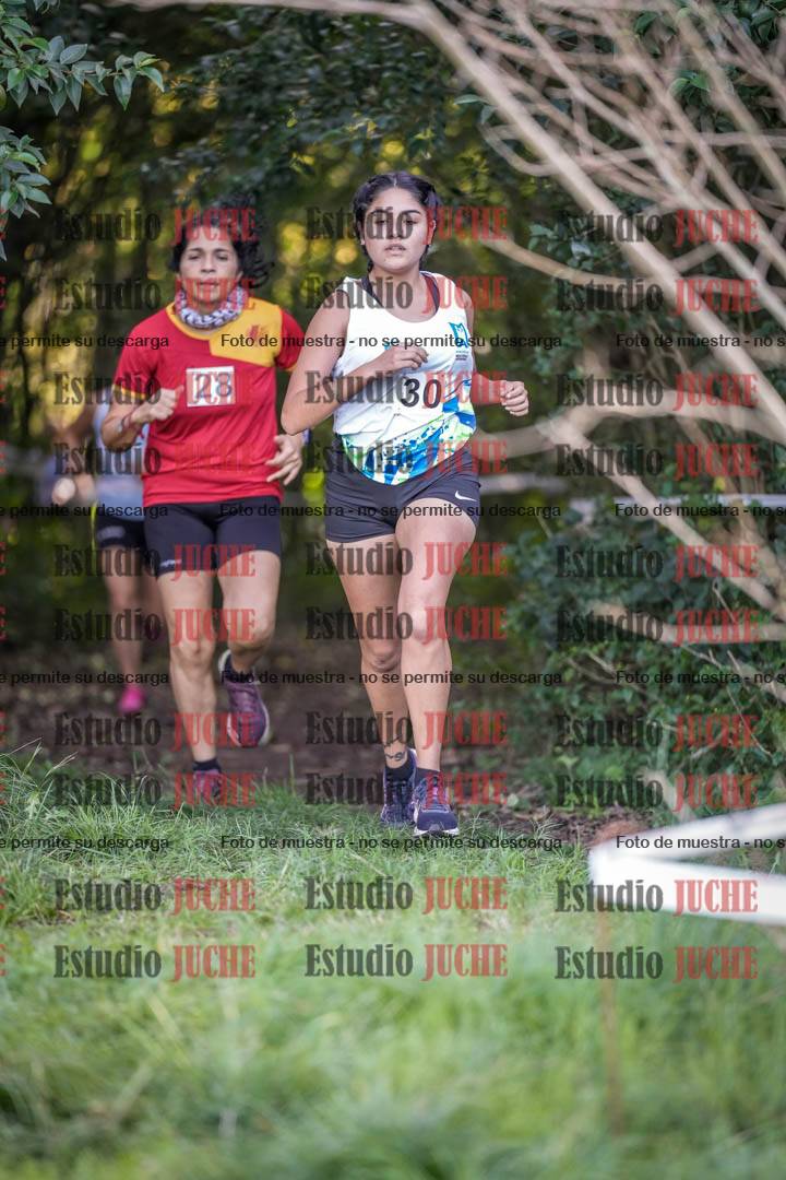 Fotos en el circuito