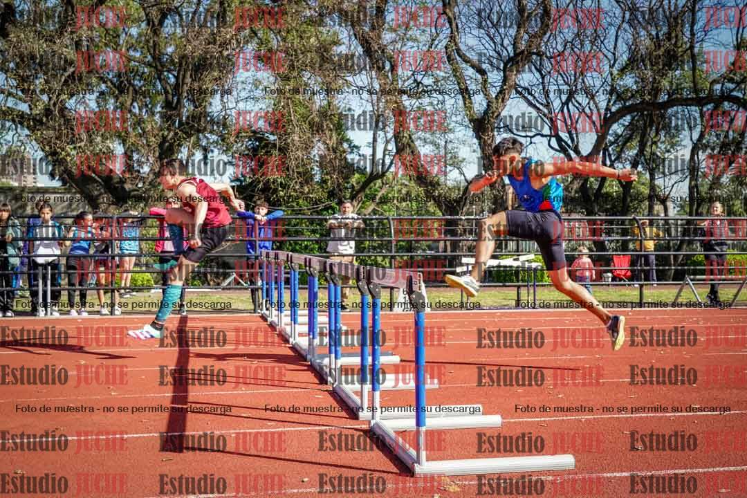 Fotos de los 110 m con vallas de varones