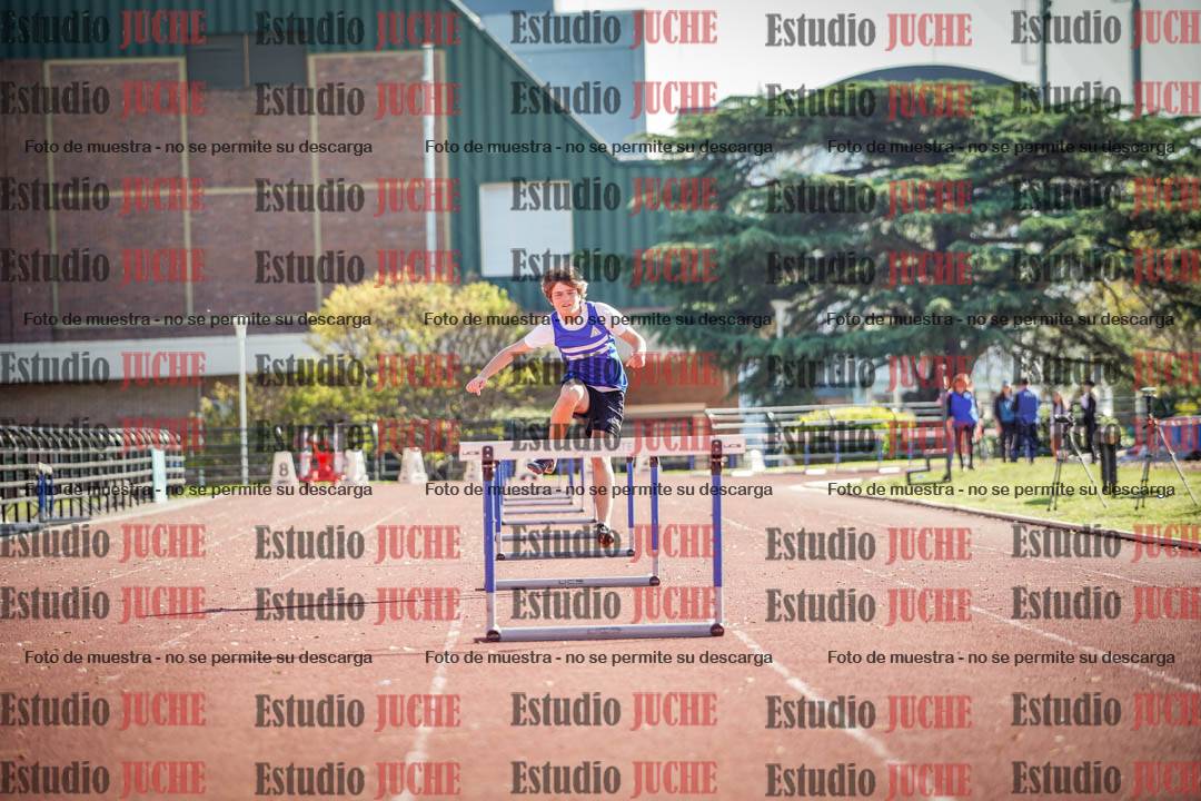 Fotos de los 110 m con vallas de varones