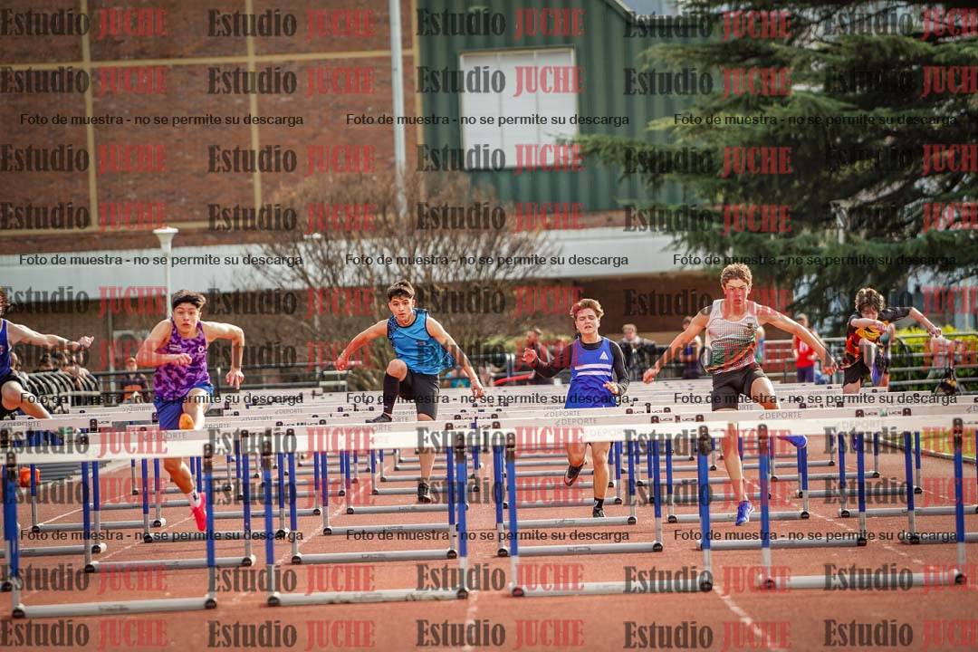 Fotos de los 110 m con vallas de varones