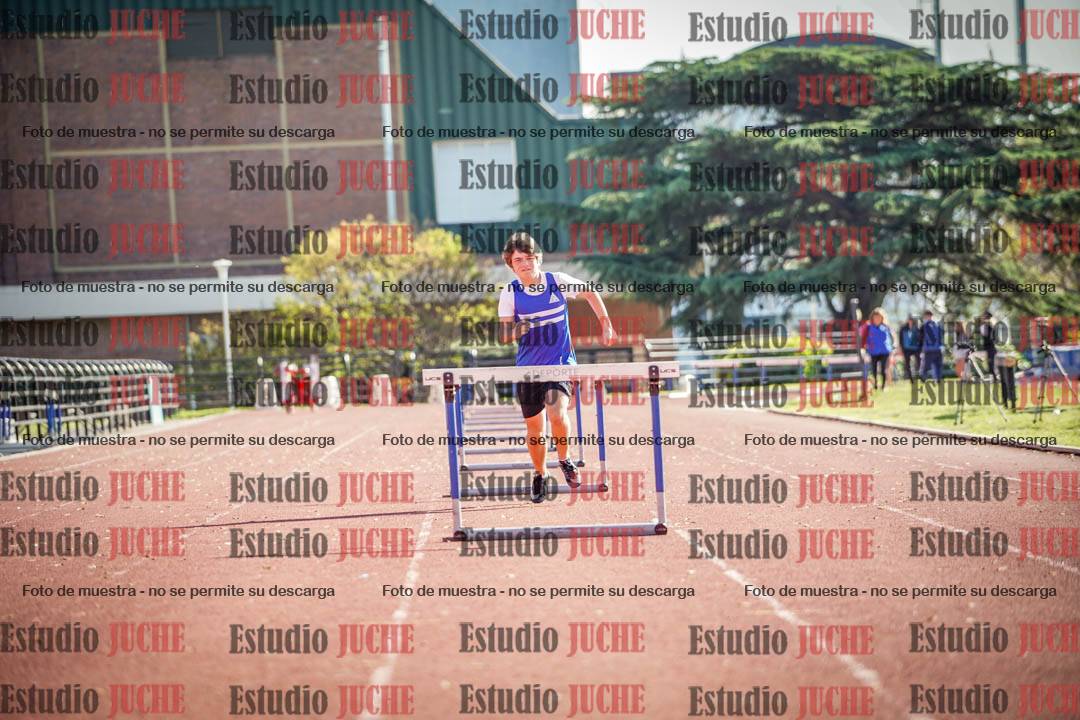 Fotos de los 110 m con vallas de varones
