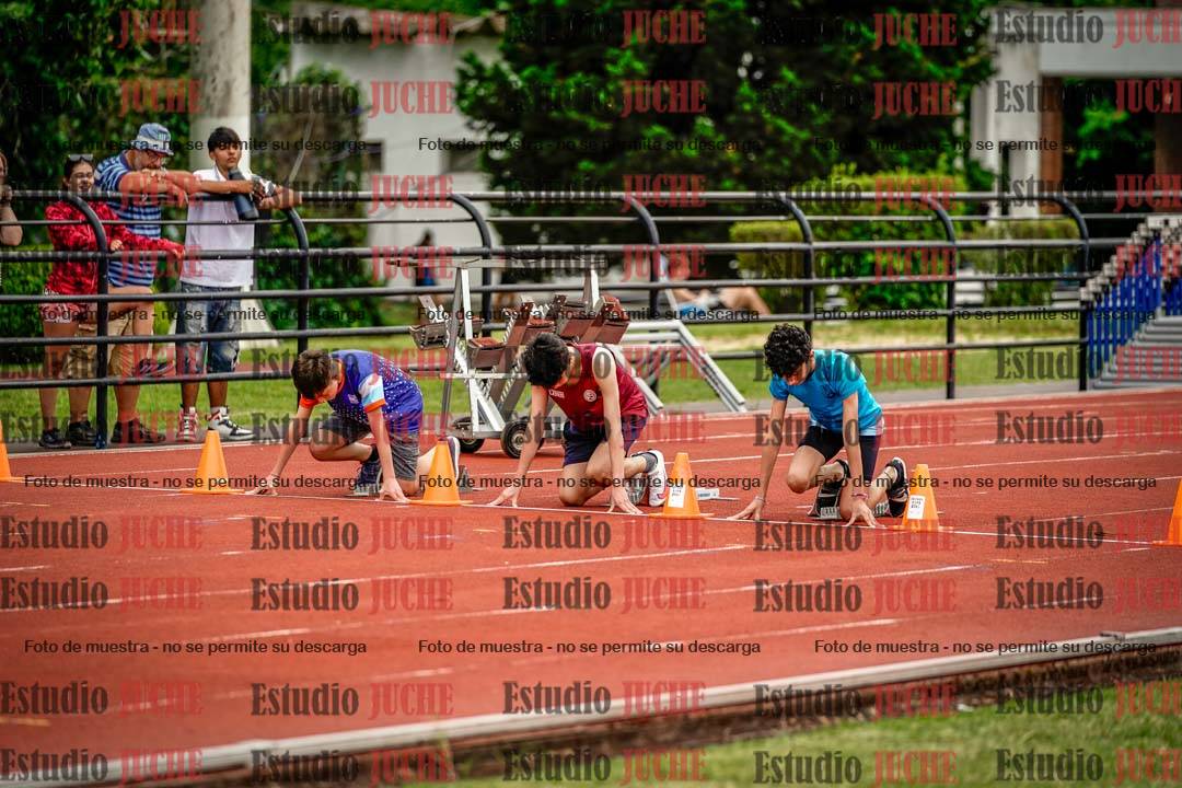 Fotos de los 80 m con vallas de varones