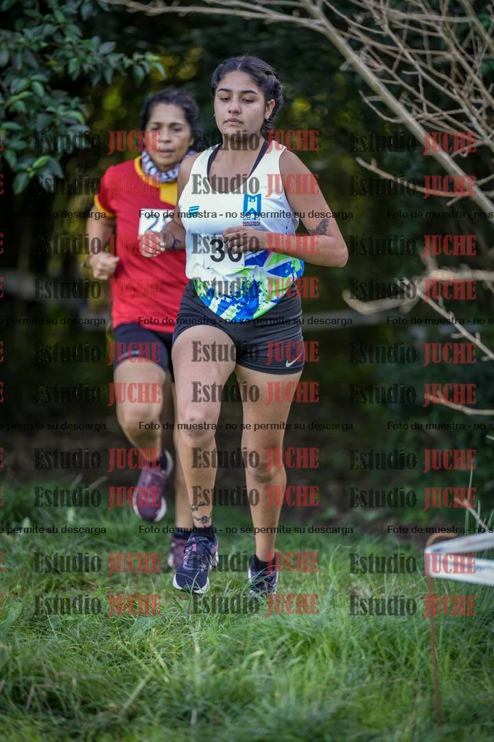 Fotos en el circuito