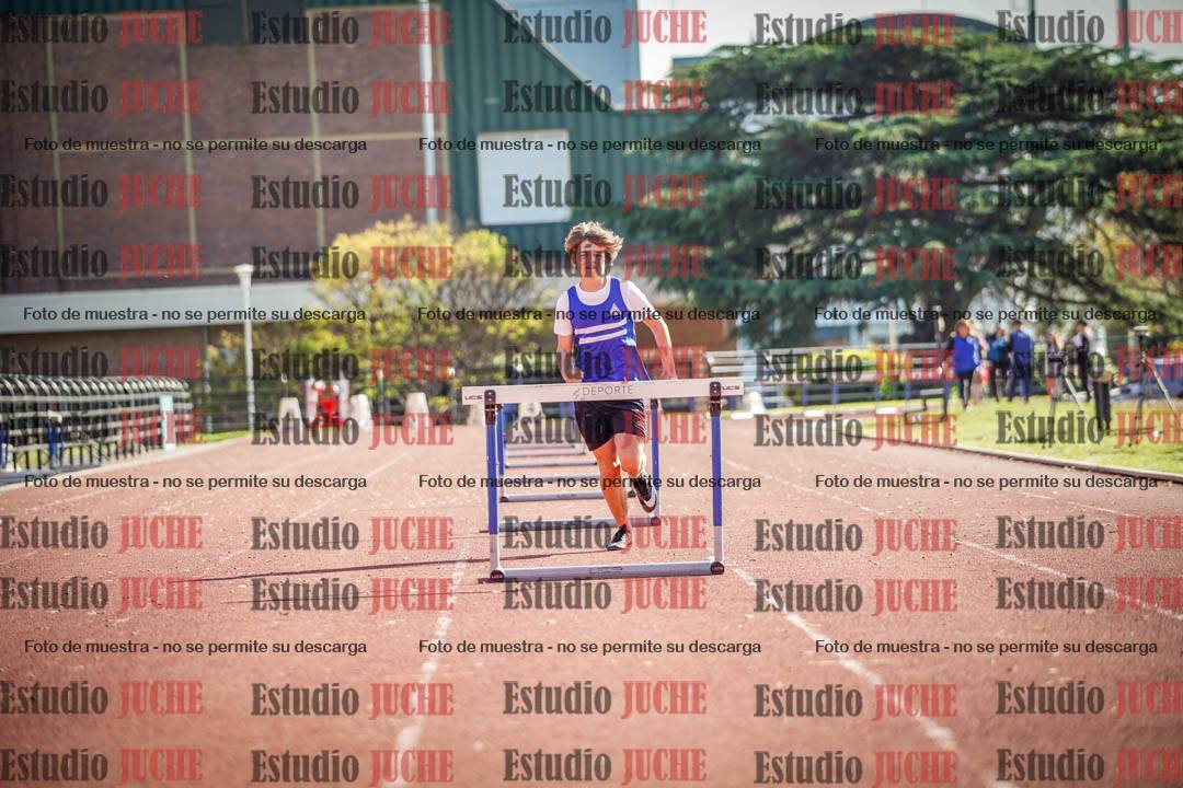 Fotos de los 110 m con vallas de varones