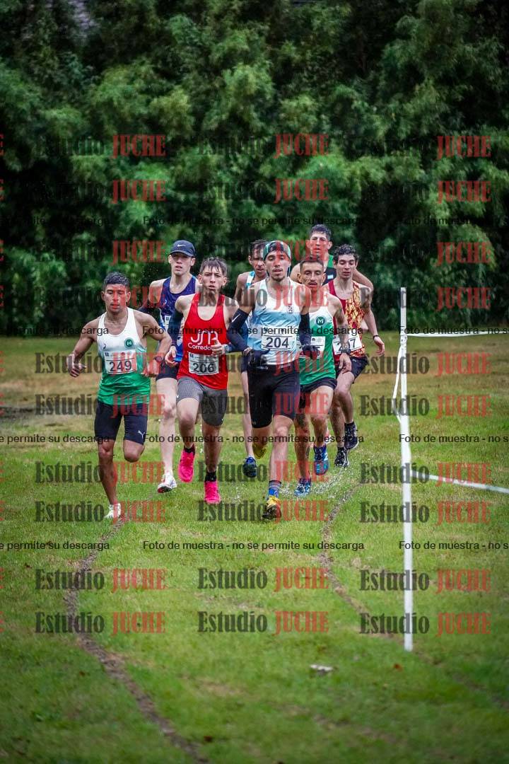 Fotos en el circuito