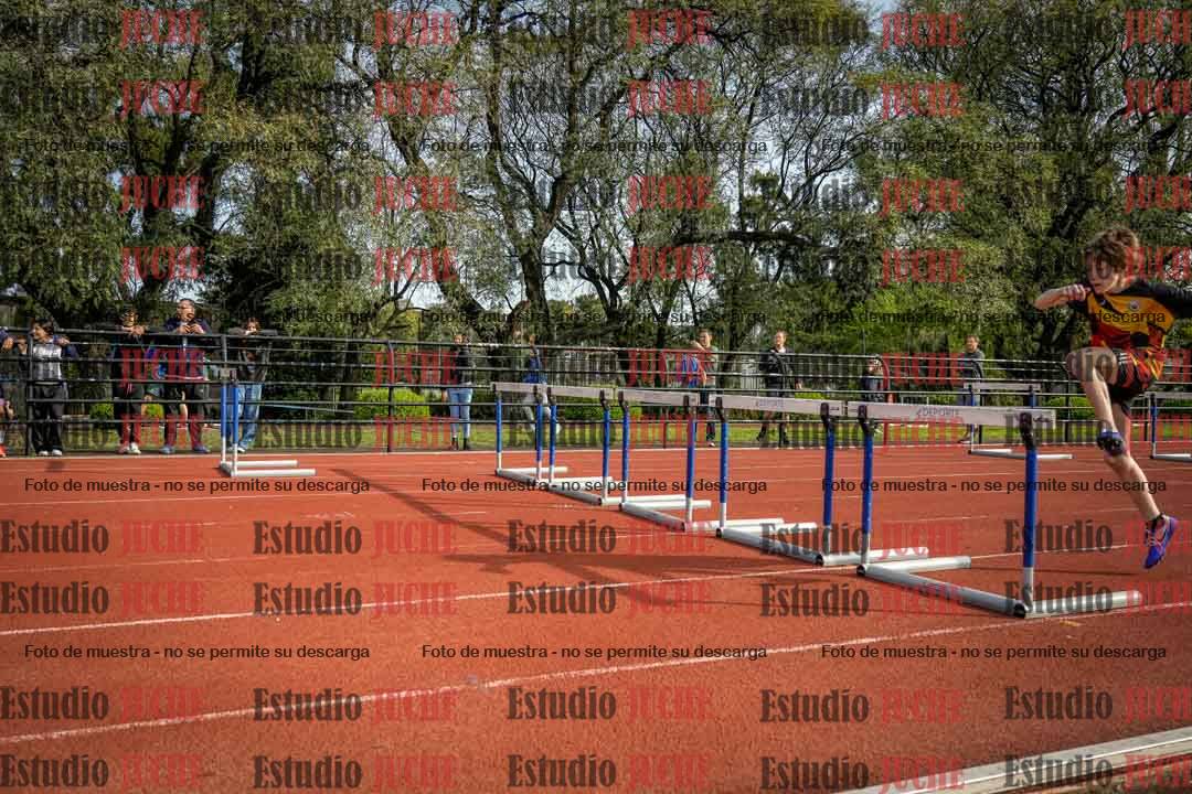 Fotos de los 110 m con vallas de varones