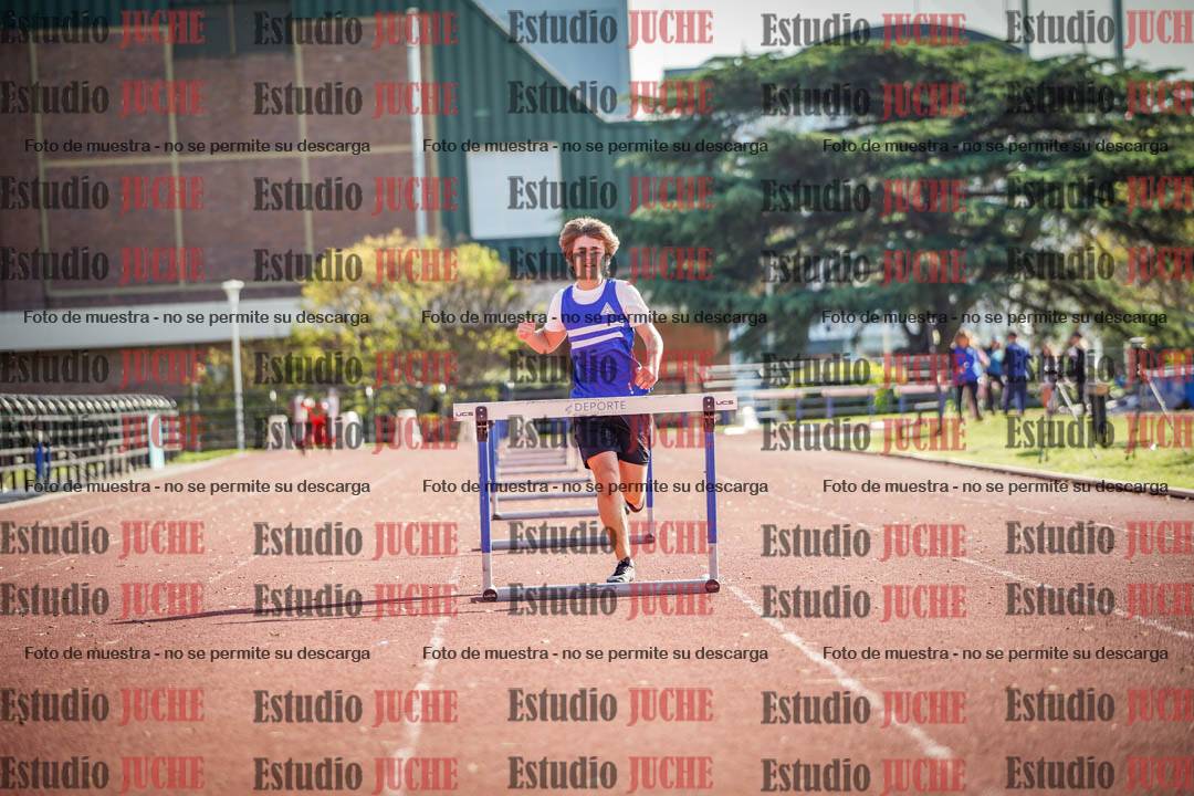 Fotos de los 110 m con vallas de varones