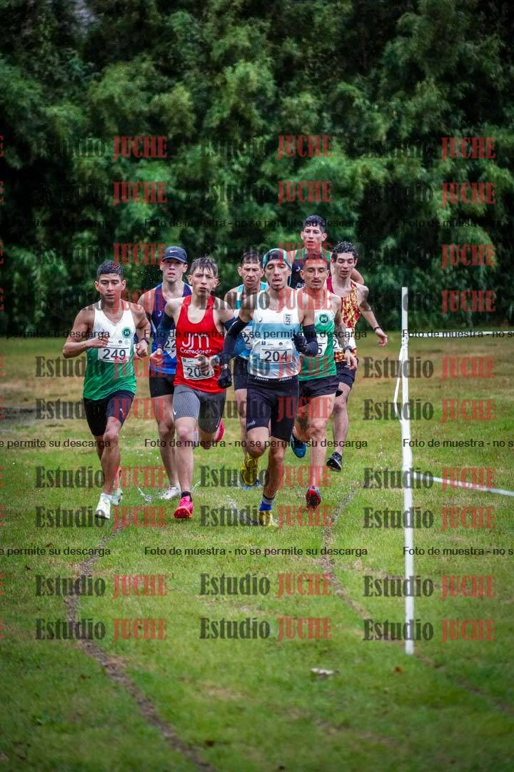 Fotos en el circuito