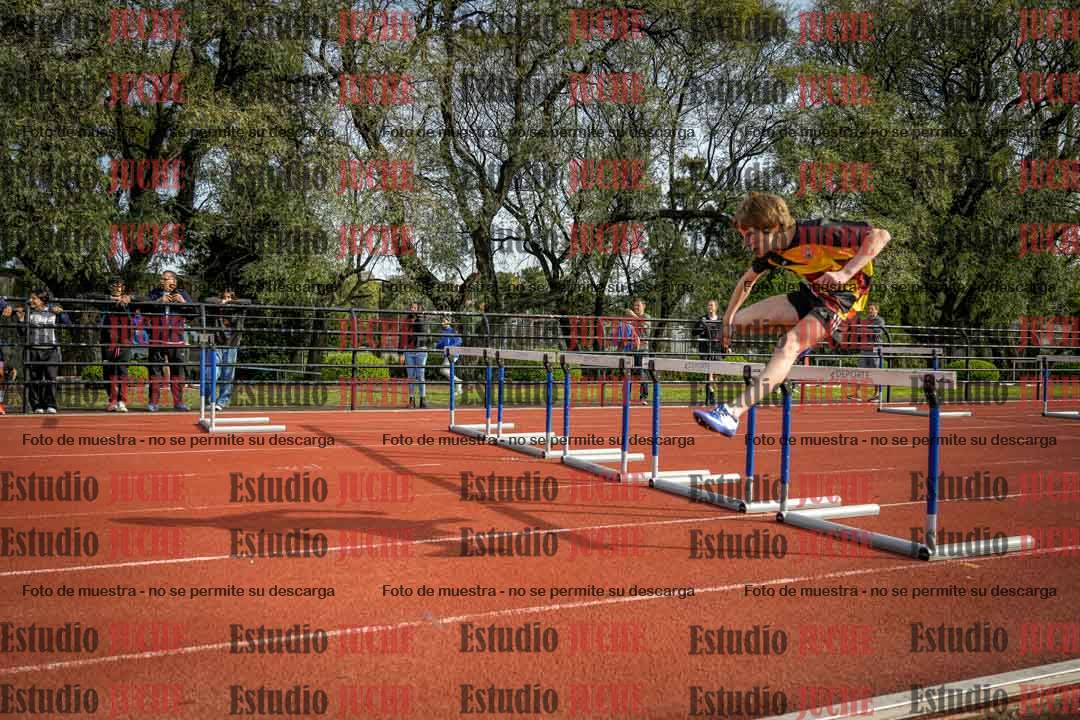 Fotos de los 110 m con vallas de varones
