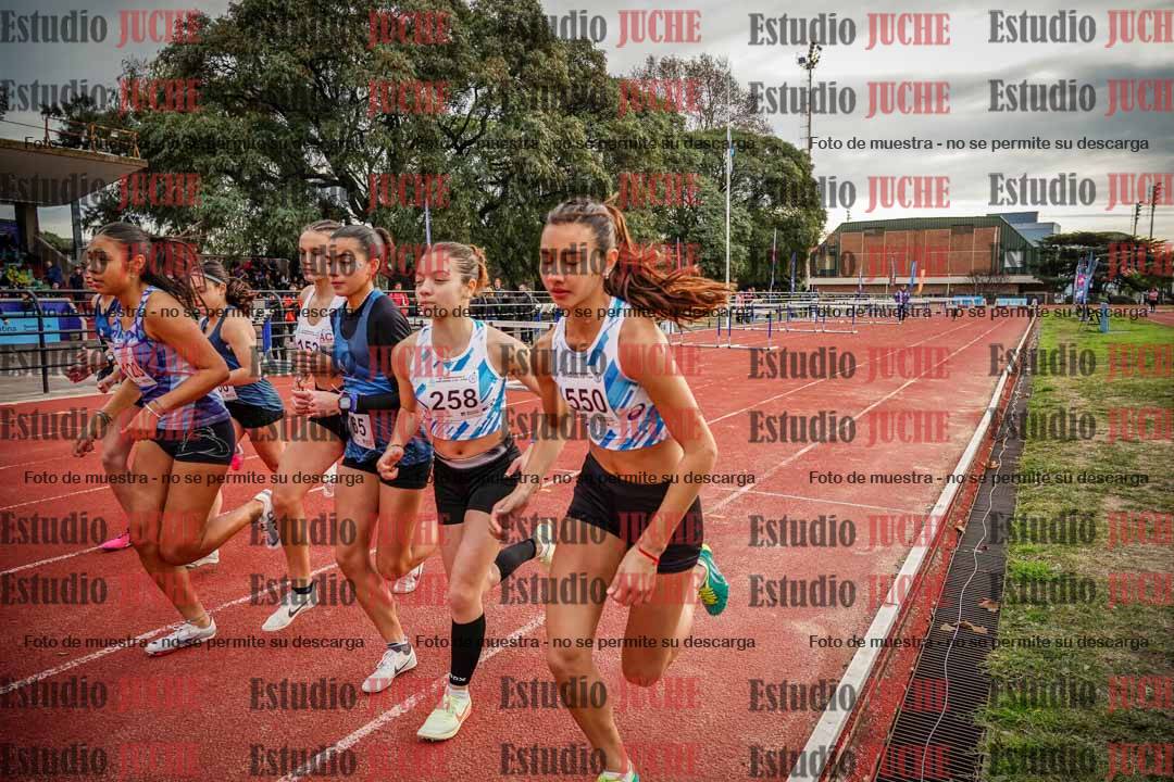 Fotos de los 2000 m con obstáculos de mujeres