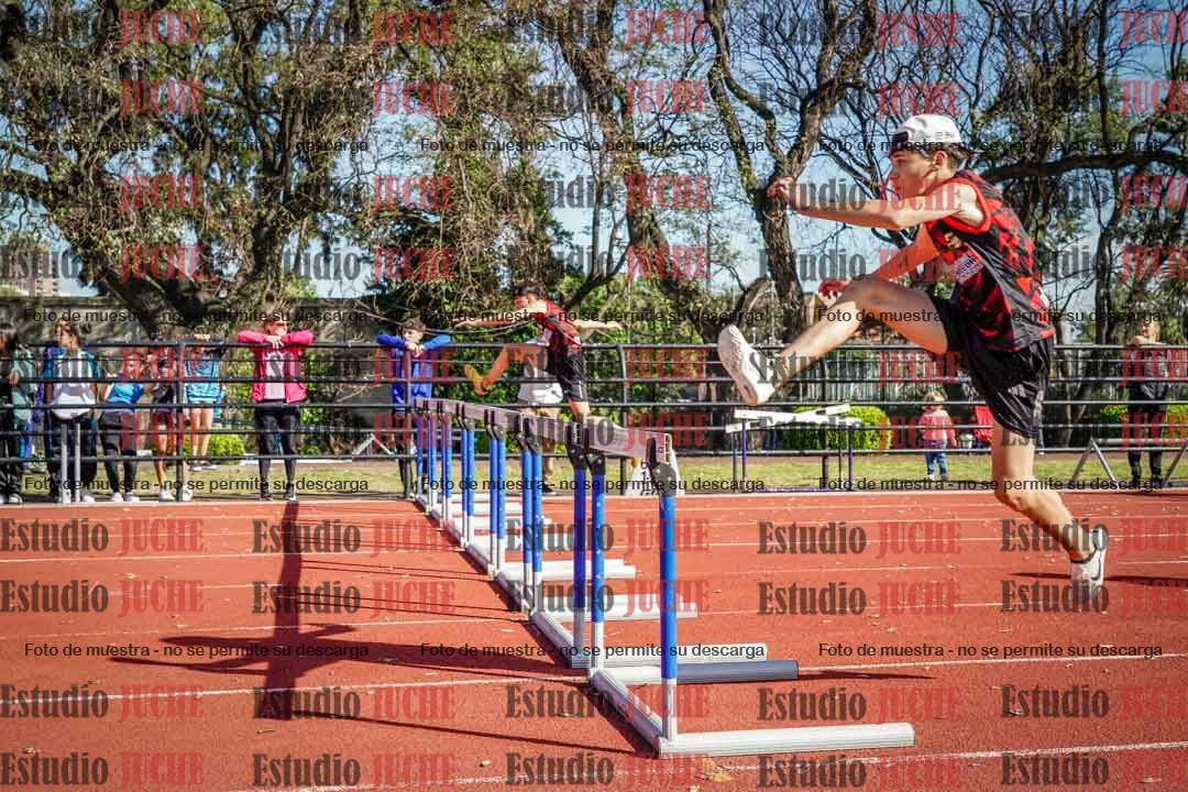 Fotos de los 110 m con vallas de varones
