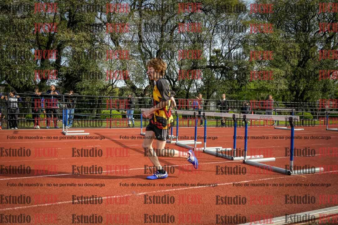 Fotos de los 110 m con vallas de varones