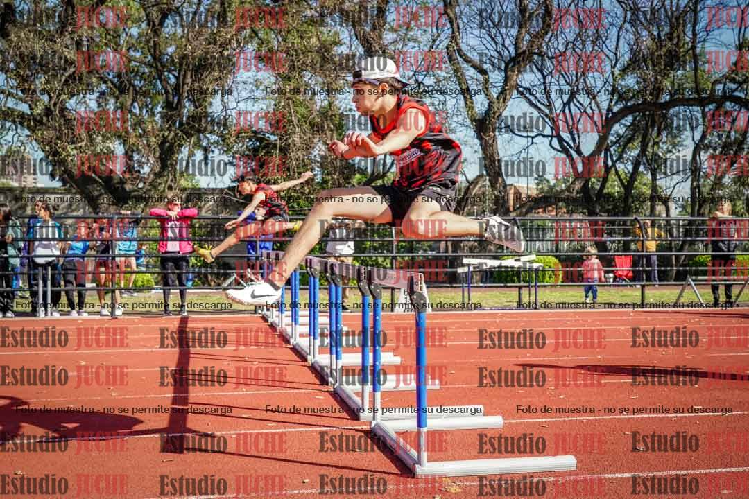Fotos de los 110 m con vallas de varones