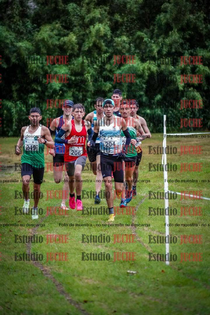 Fotos en el circuito