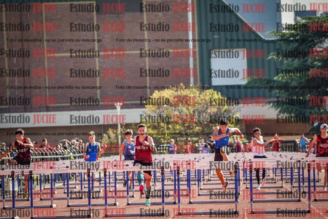 Fotos de los 110 m con vallas de varones