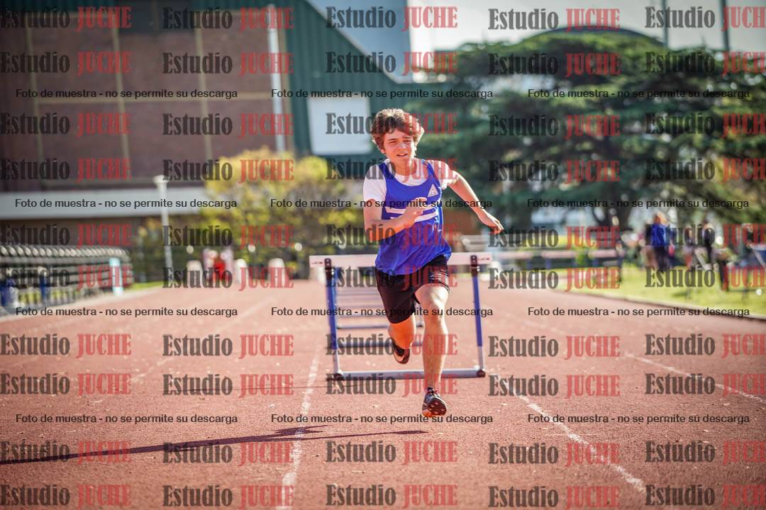 Fotos de los 110 m con vallas de varones