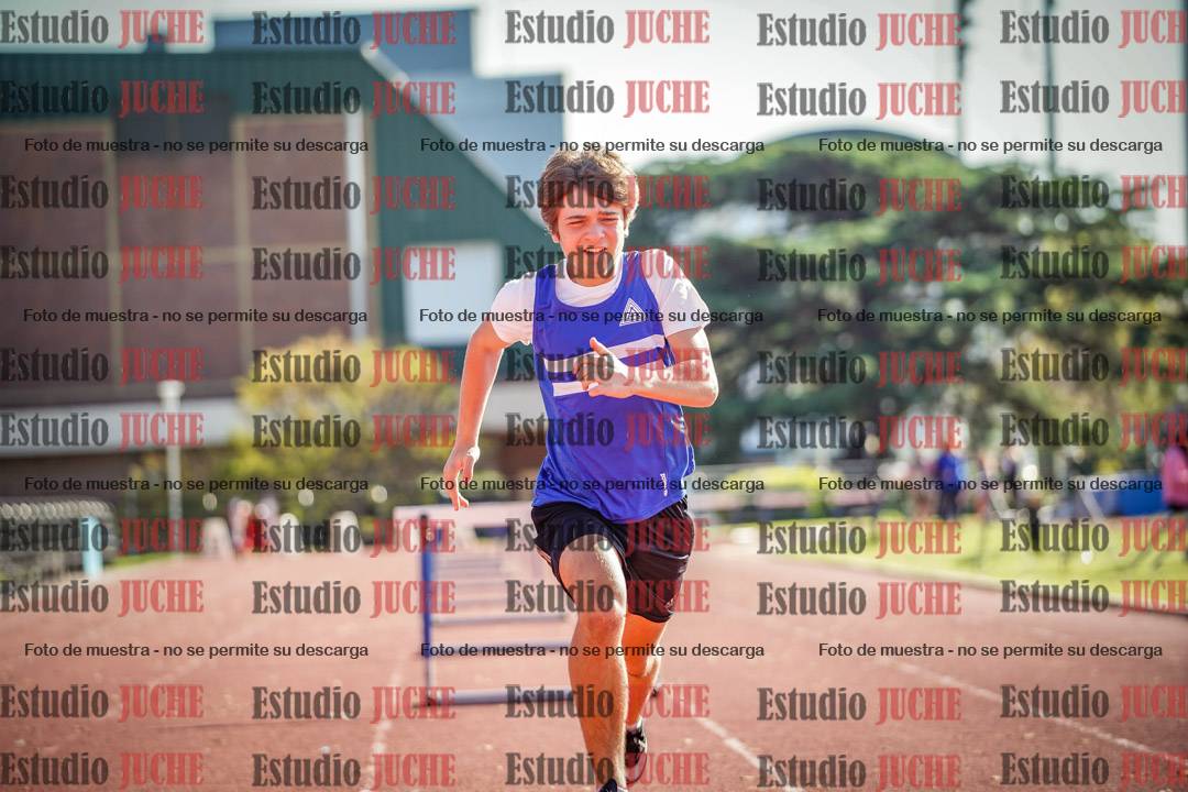 Fotos de los 110 m con vallas de varones