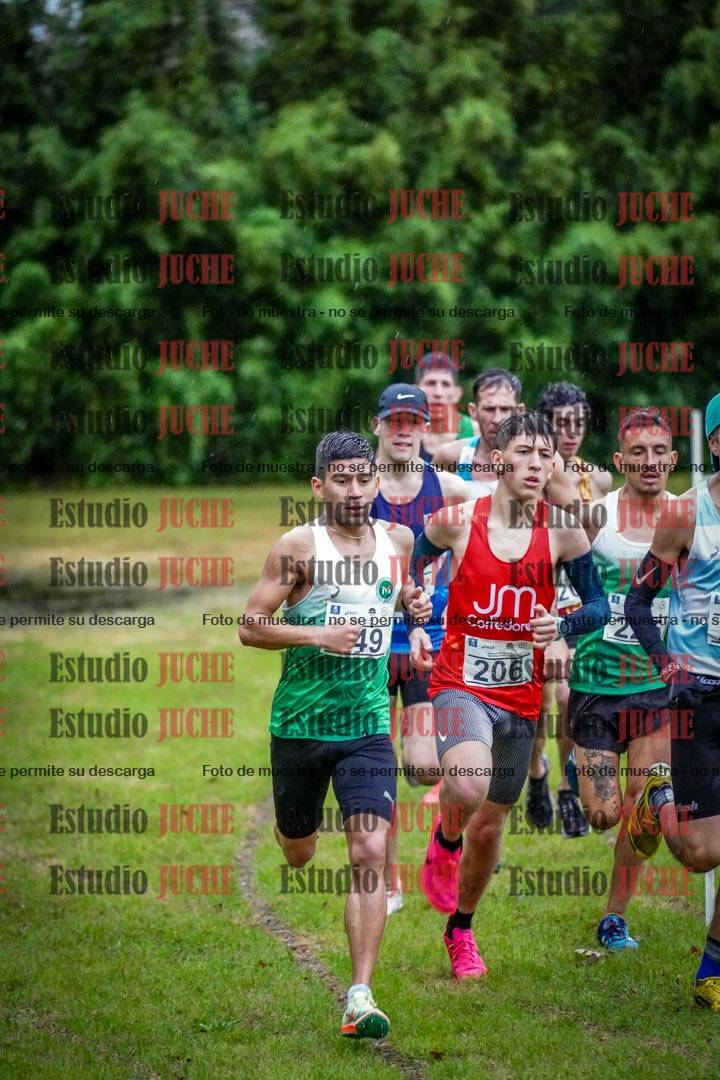 Fotos en el circuito