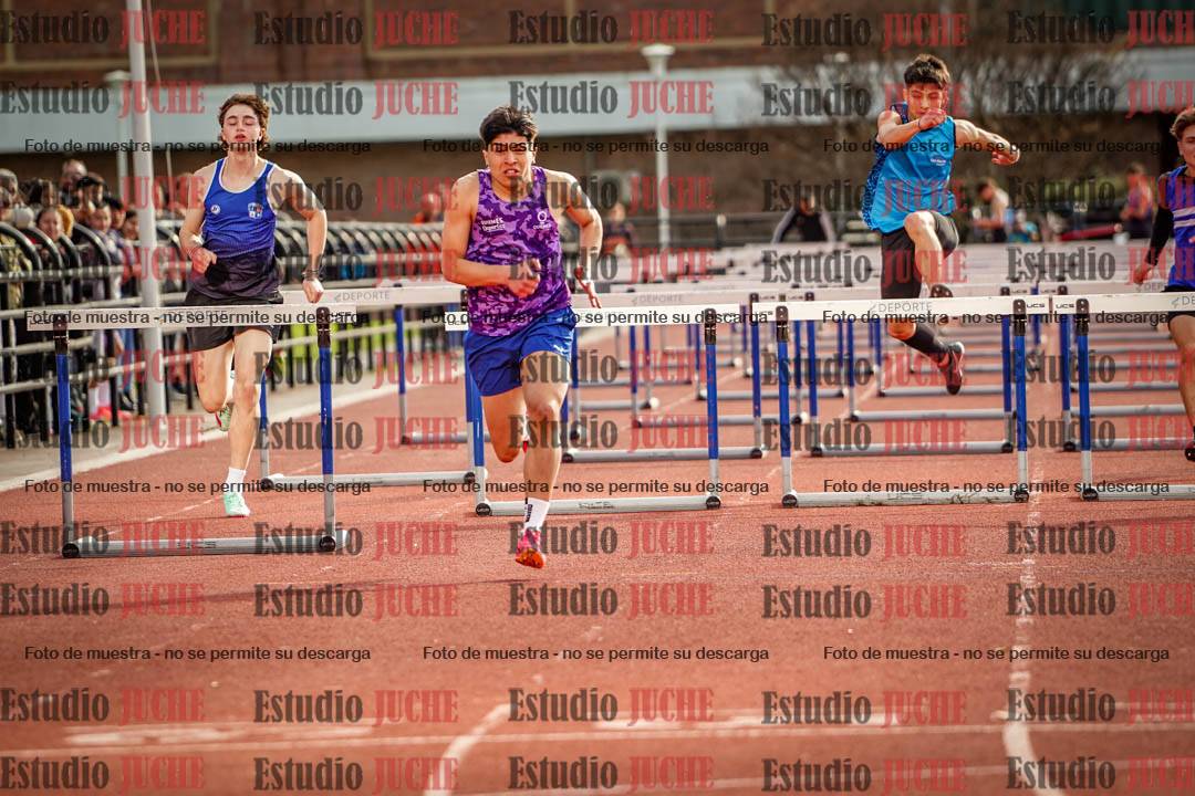 Fotos de los 110 m con vallas de varones