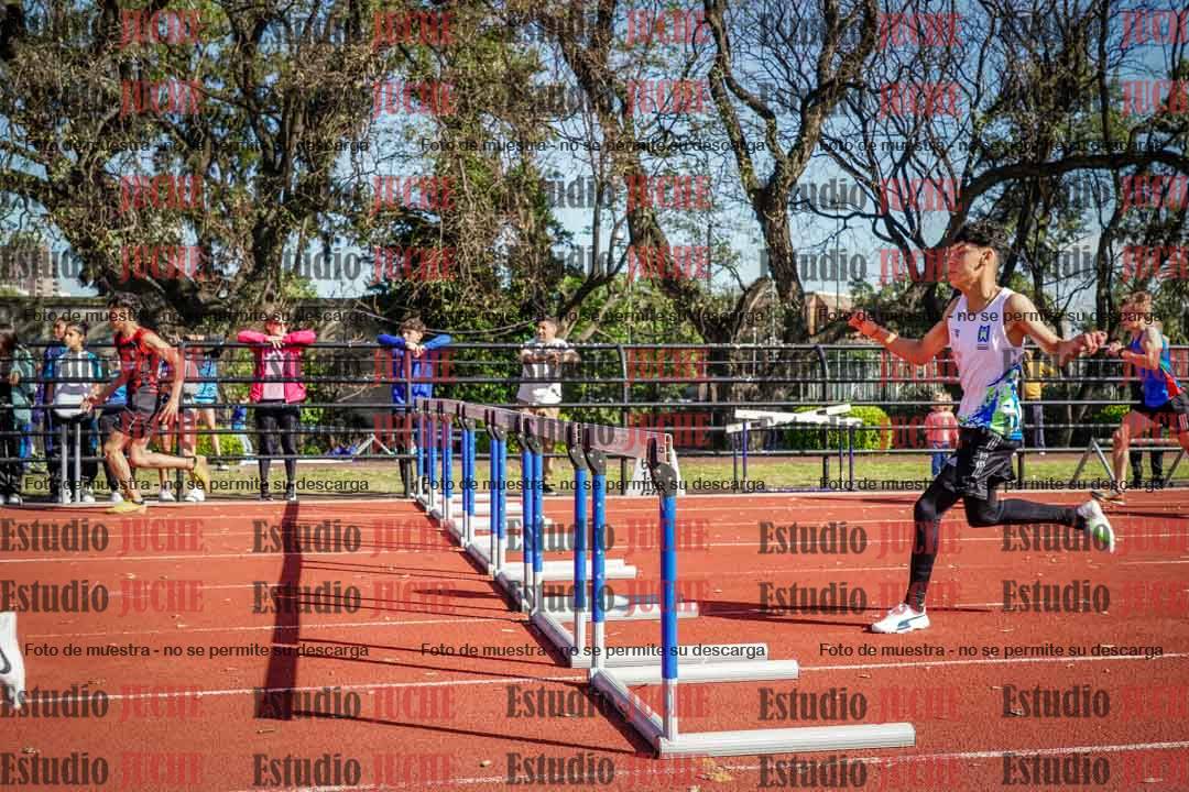 Fotos de los 110 m con vallas de varones