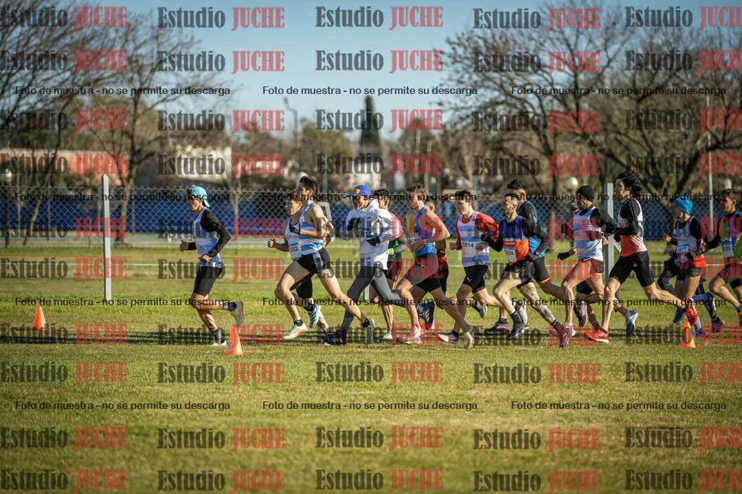 Fotos en de la largada