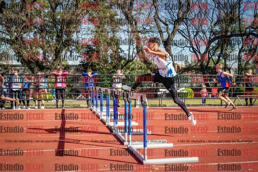 Fotos de los 110 m con vallas de varones