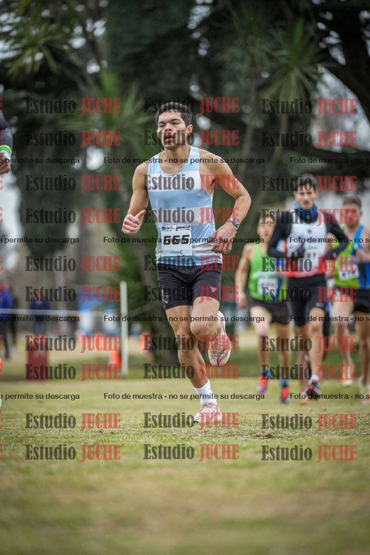 Fotos en el circuito