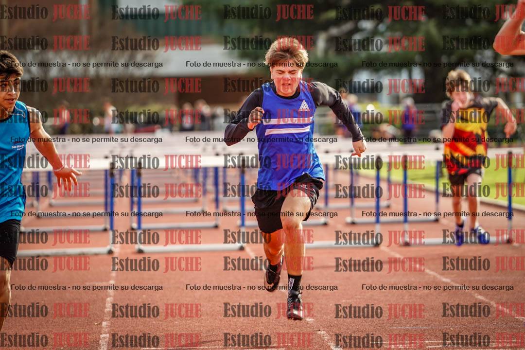 Fotos de los 110 m con vallas de varones