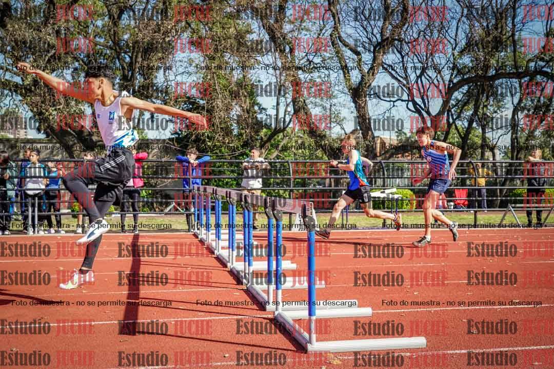 Fotos de los 110 m con vallas de varones