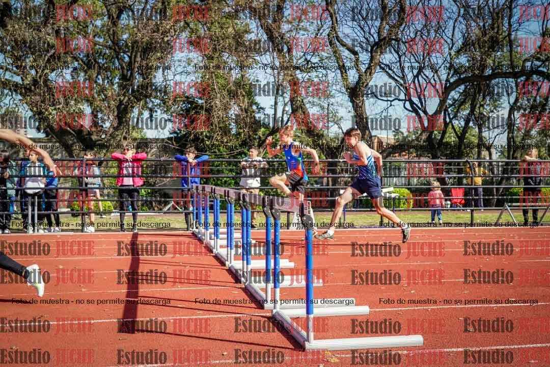 Fotos de los 110 m con vallas de varones