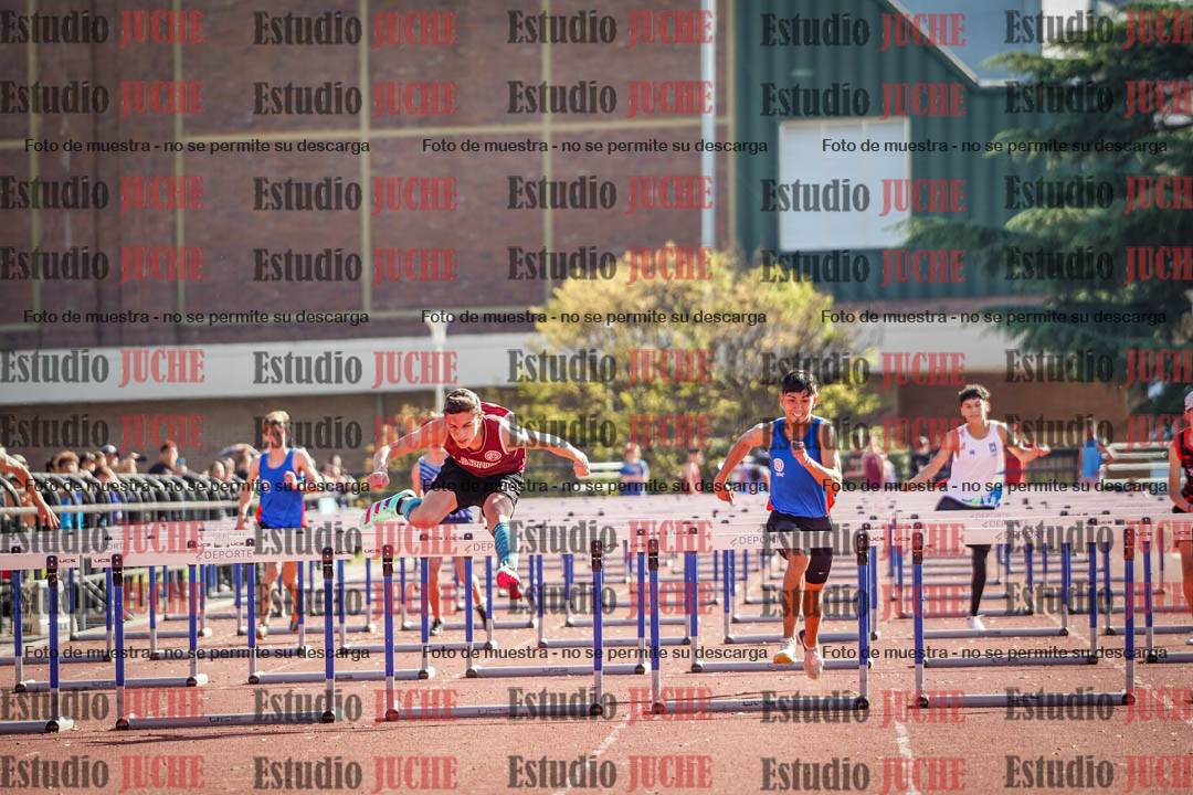Fotos de los 110 m con vallas de varones