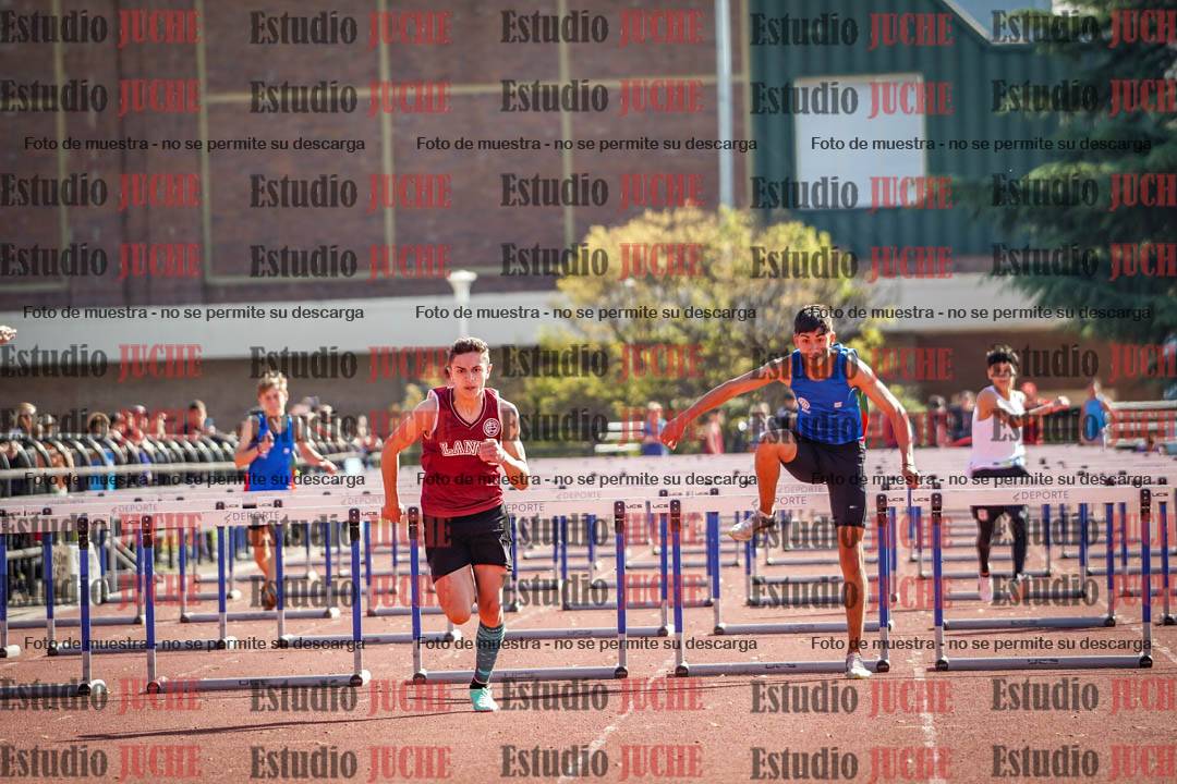 Fotos de los 110 m con vallas de varones