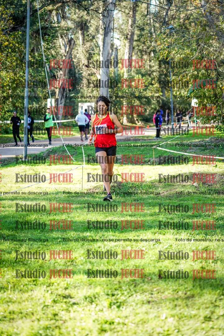 Fotos en el segundo punto del circuito