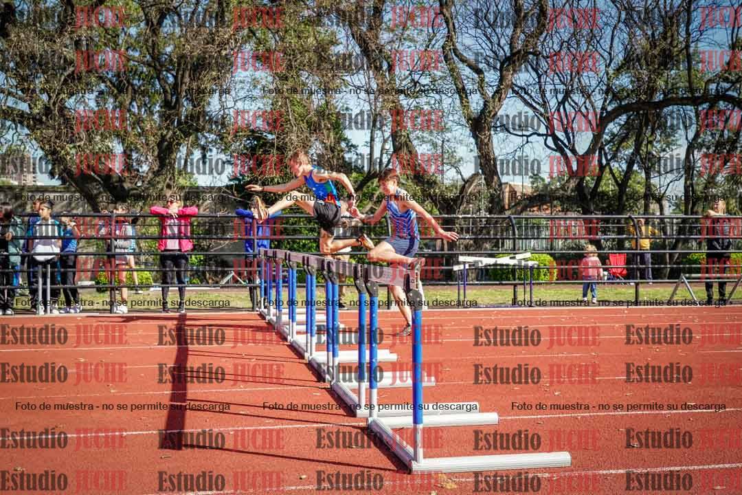 Fotos de los 110 m con vallas de varones
