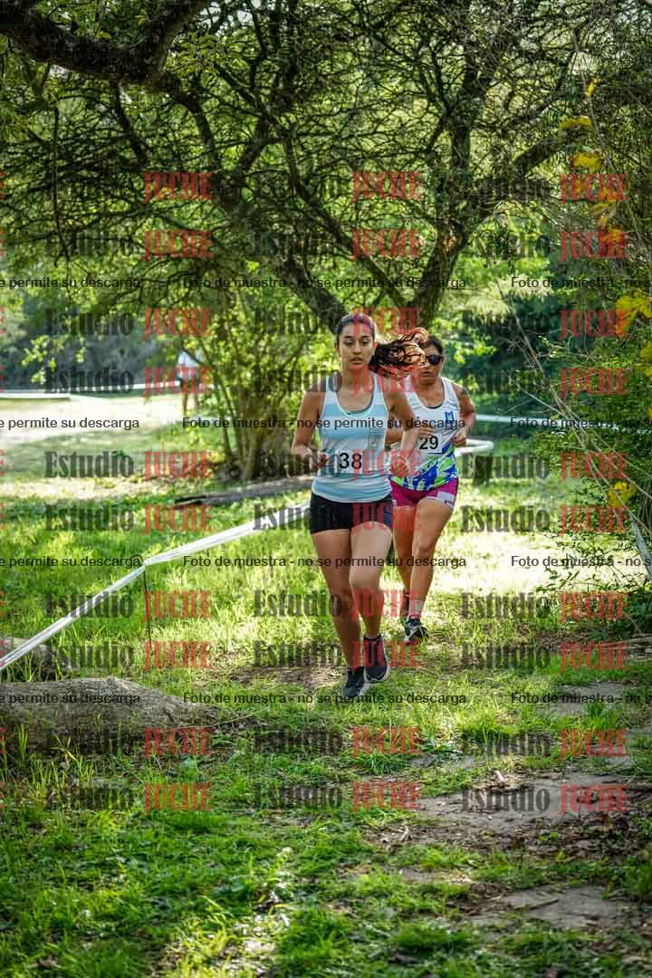 Fotos en el circuito