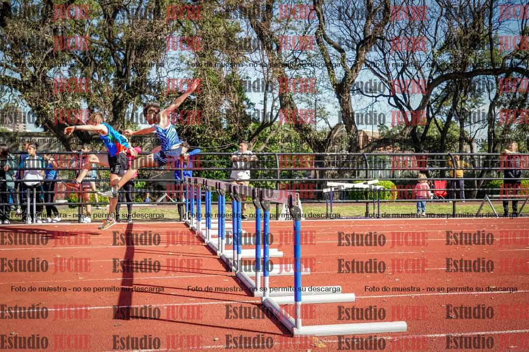 Fotos de los 110 m con vallas de varones